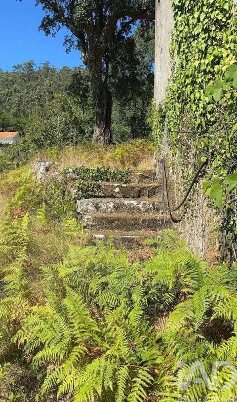 Terreno para Venda em Valadares