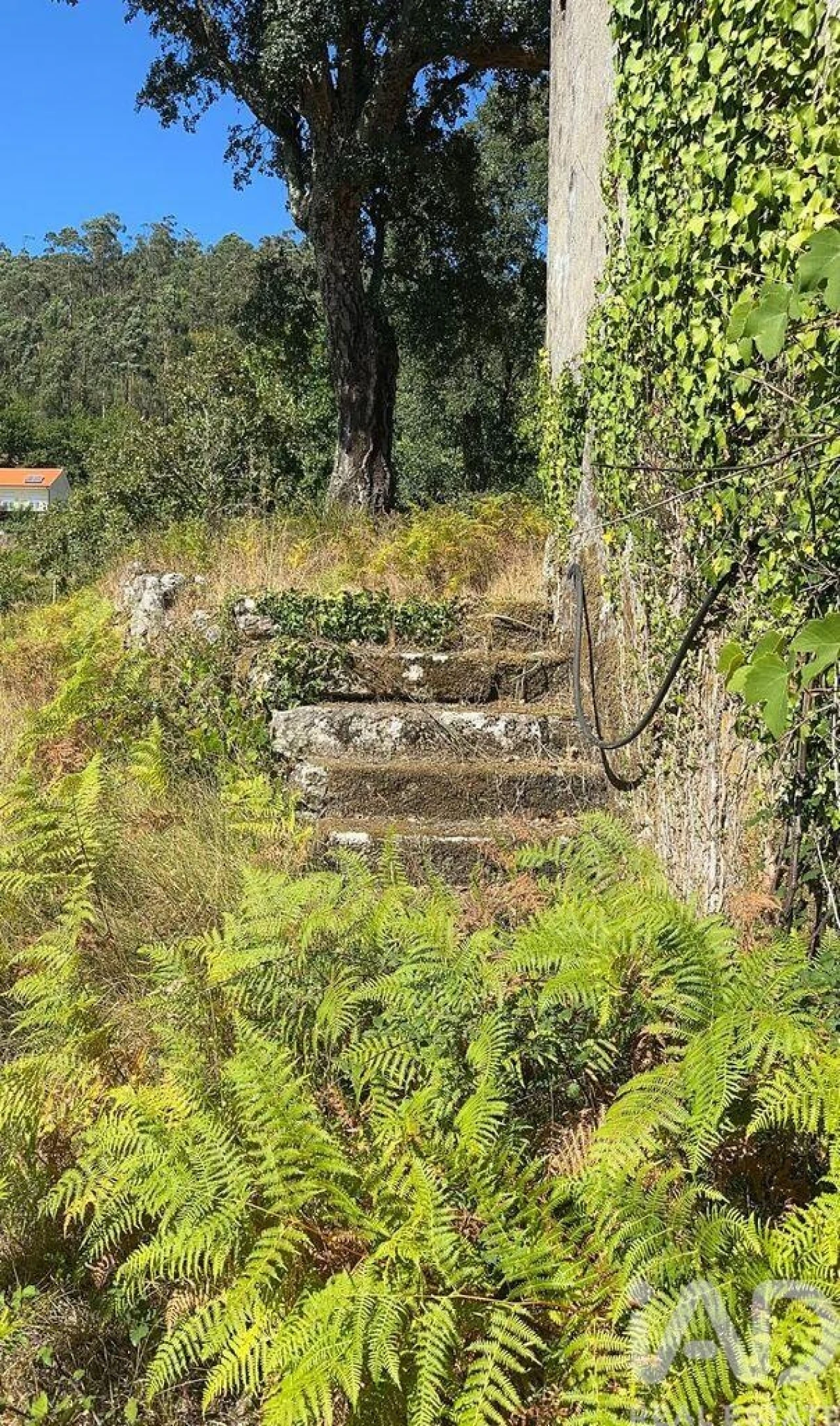 Terreno para Venda em Valadares Foto 9