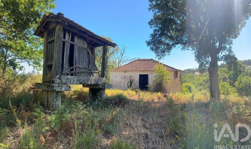 Terreno para Venda em Valadares Foto 10