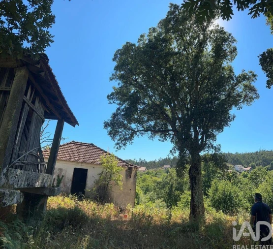 Terreno para Venda em Valadares Foto 6