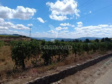 Terreno para Venda em Poiares e Canelas