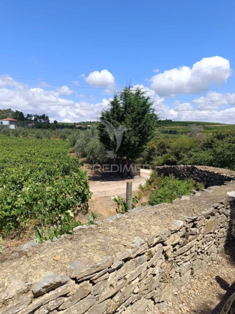 Terreno para Venda em Poiares e Canelas