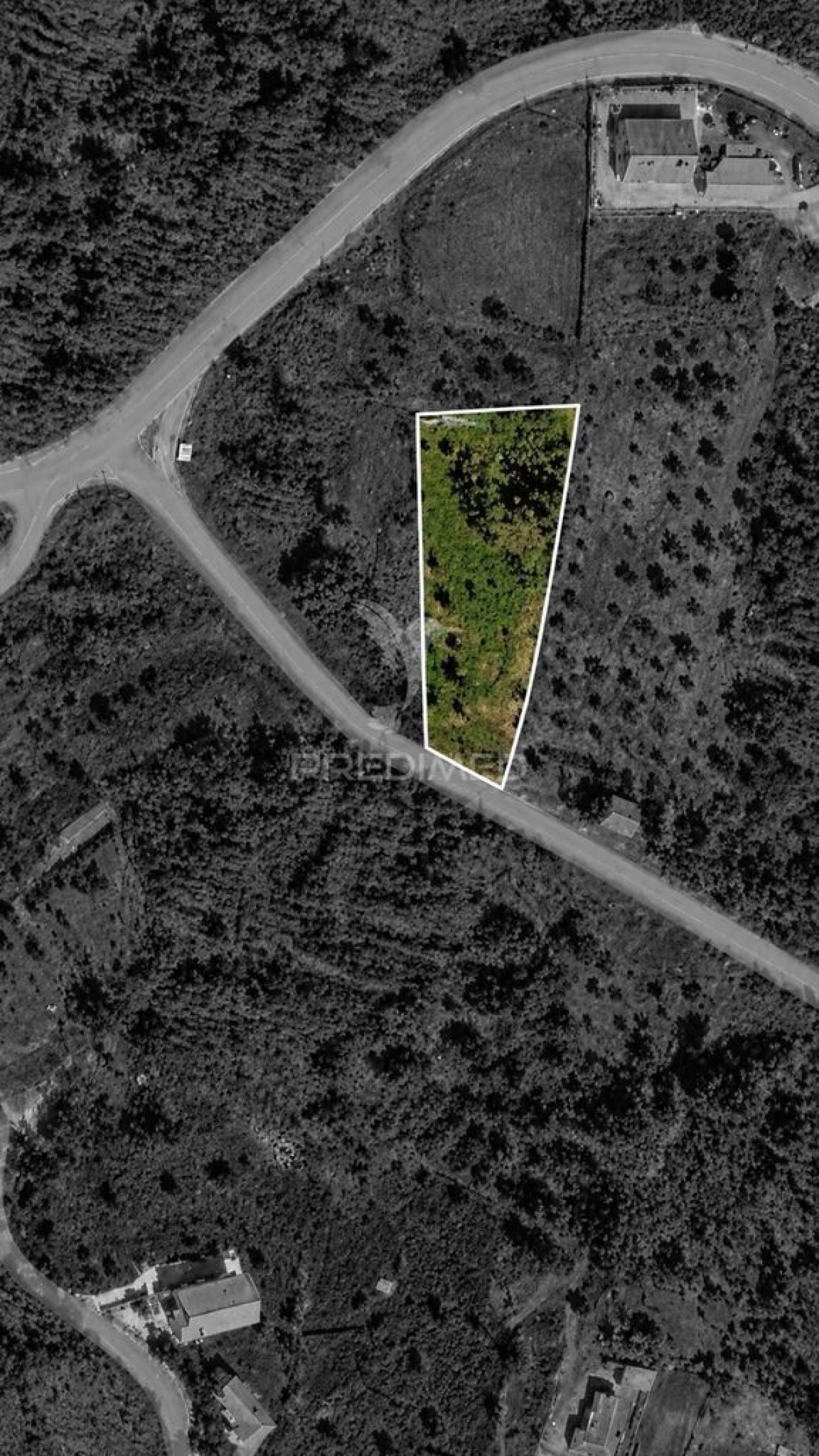 Terreno para Venda em Cernache do Bonjardim, Nesperal e Palhais Foto 1