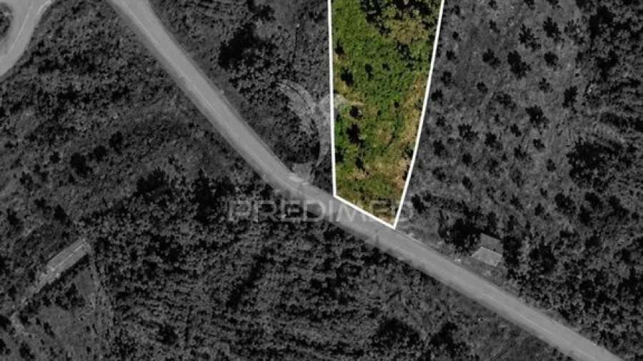 Terreno para Venda em Cernache do Bonjardim, Nesperal e Palhais