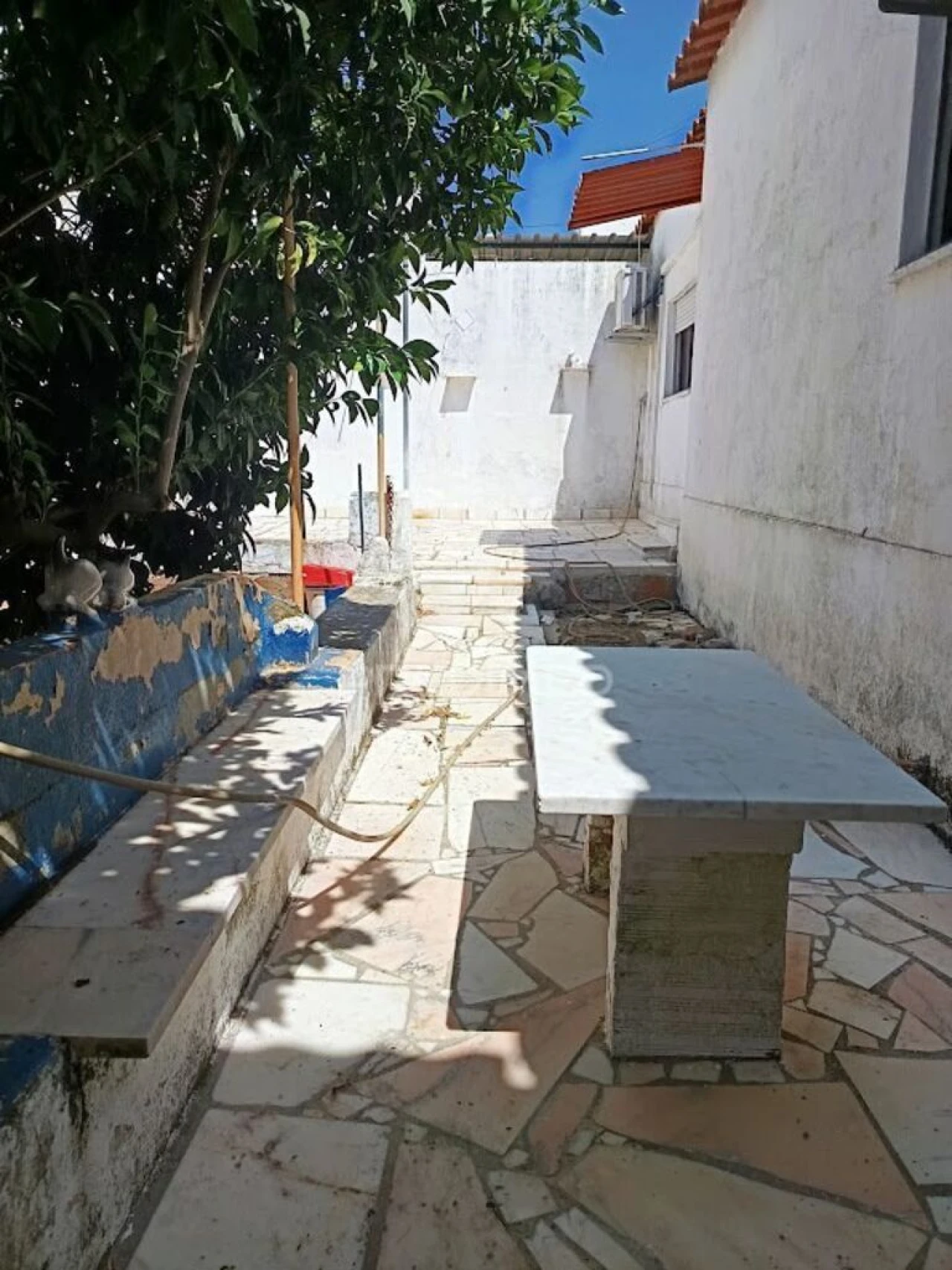 Moradia T3 para Venda em São João Baptista Foto 19
