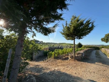 Terreno para Venda em Poiares e Canelas