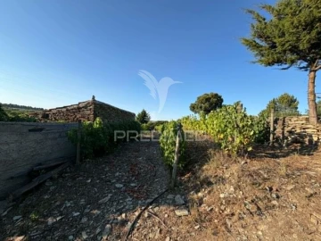 Terreno para Venda em Poiares e Canelas