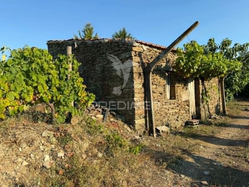 Terreno para Venda em Poiares e Canelas Foto 14