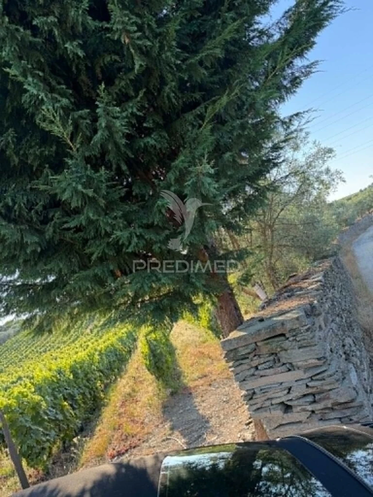 Terreno para Venda em Poiares e Canelas Foto 13