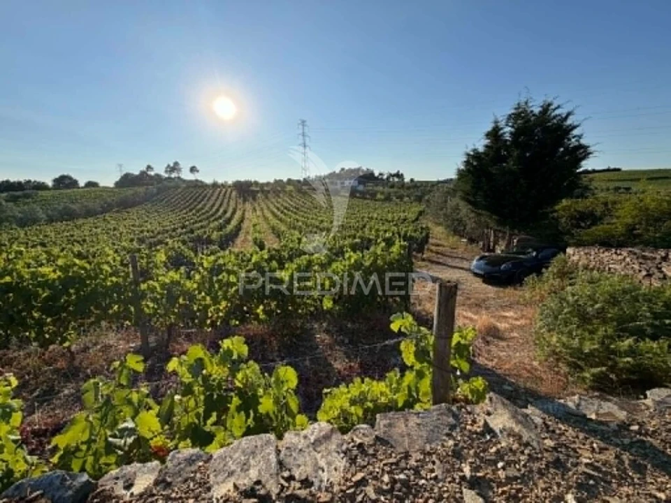 Terreno para Venda em Poiares e Canelas Foto 1