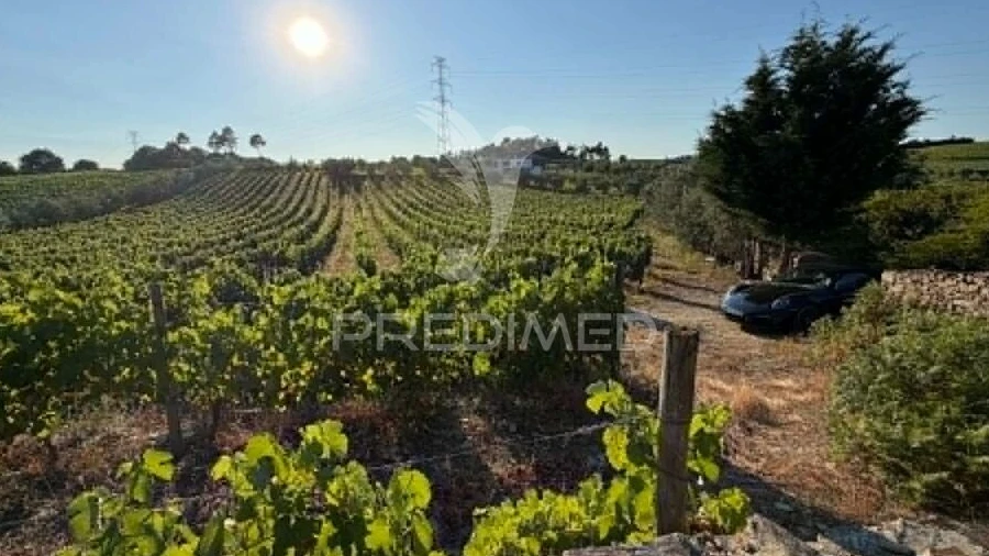 Terreno para Venda em Poiares e Canelas