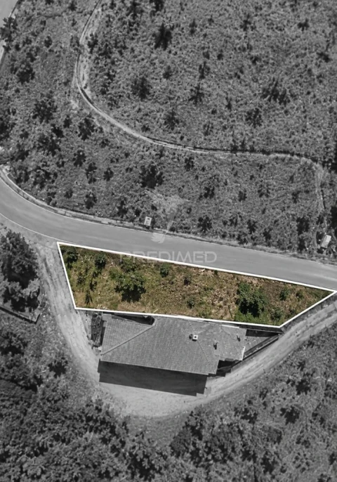 Terreno para Venda em Cernache do Bonjardim, Nesperal e Palhais