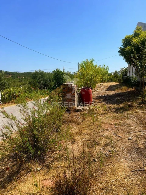 Terreno para Venda em Cernache do Bonjardim, Nesperal e Palhais
