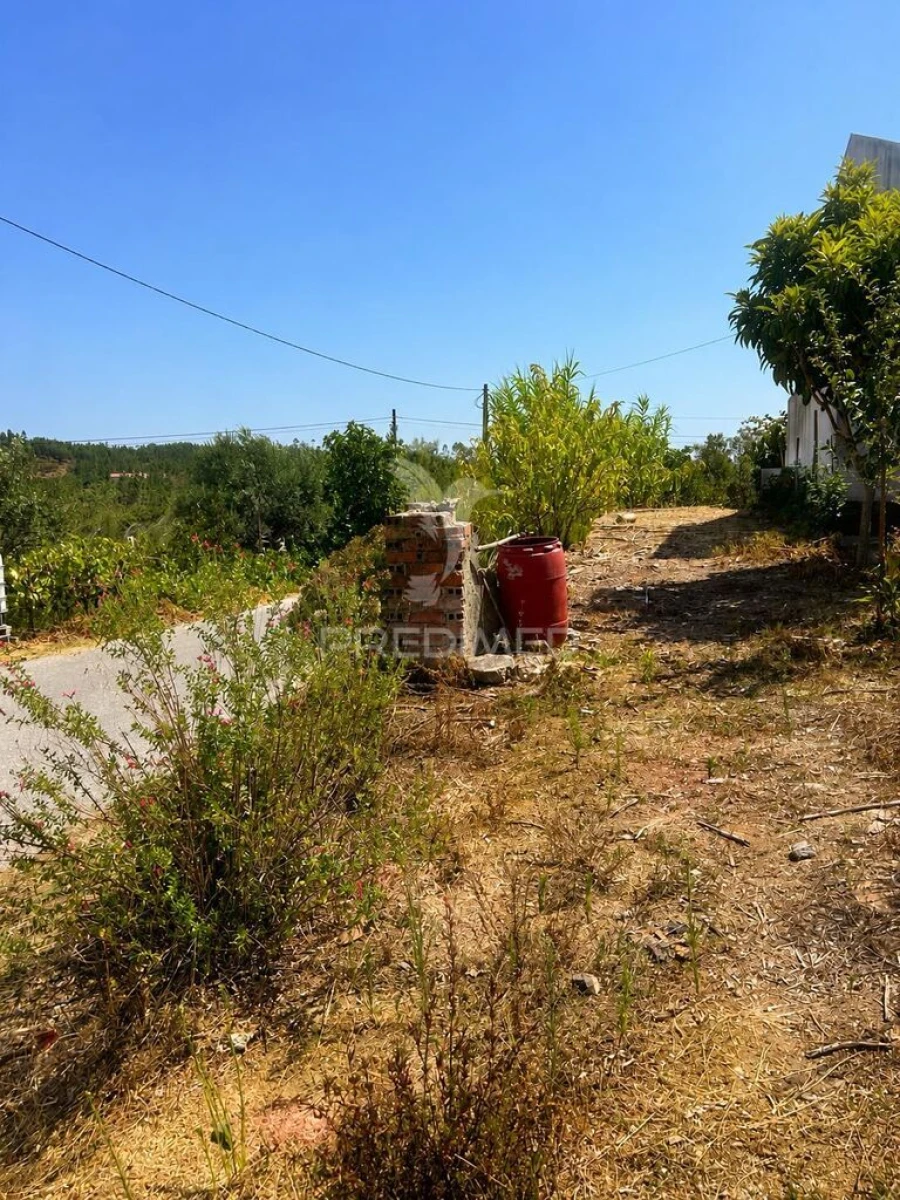Terreno para Venda em Cernache do Bonjardim, Nesperal e Palhais Foto 2