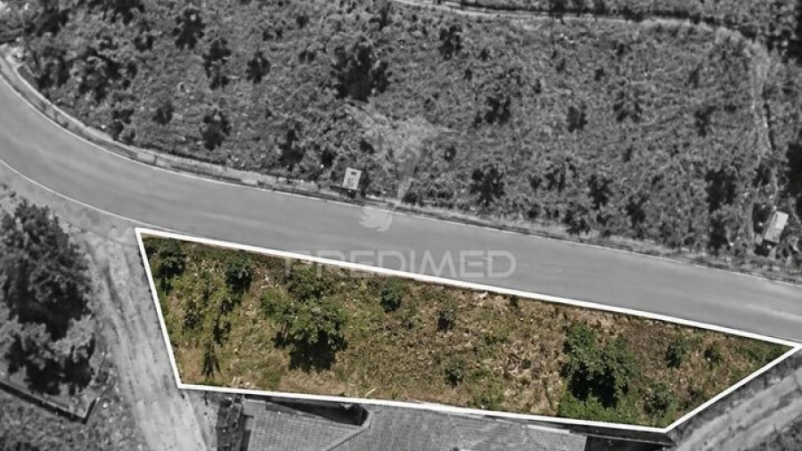 Terreno para Venda em Cernache do Bonjardim, Nesperal e Palhais
