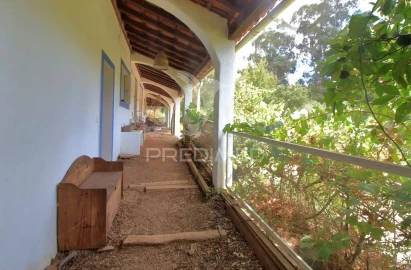 Quinta T3 para Venda em Reliquias