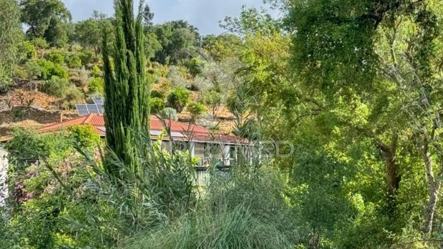 Quinta T3 para Venda em Reliquias