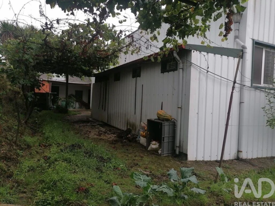 Armazém para Venda em Raimonda Foto 17