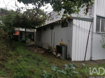 Armazém para Venda em Raimonda