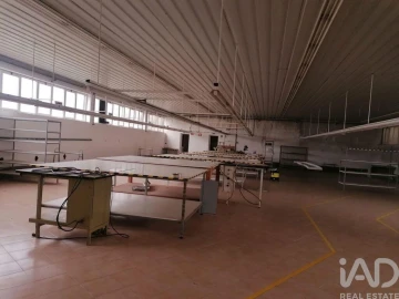 Armazém para Venda em Raimonda