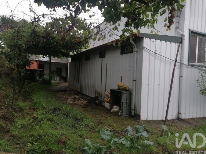 Armazém para Venda em Raimonda Foto 17
