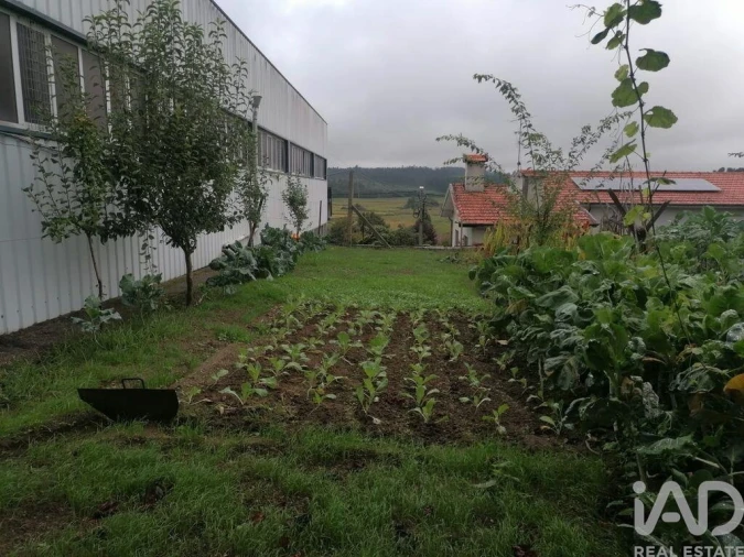 Armazém para Venda em Raimonda Foto 12