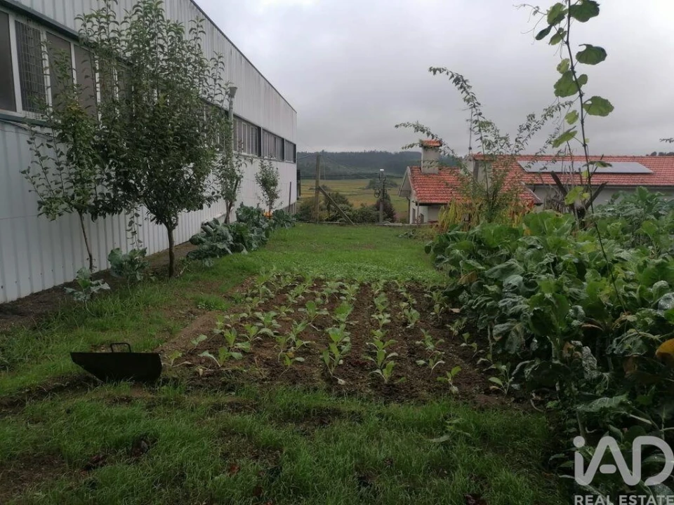 Armazém para Venda em Raimonda Foto 12