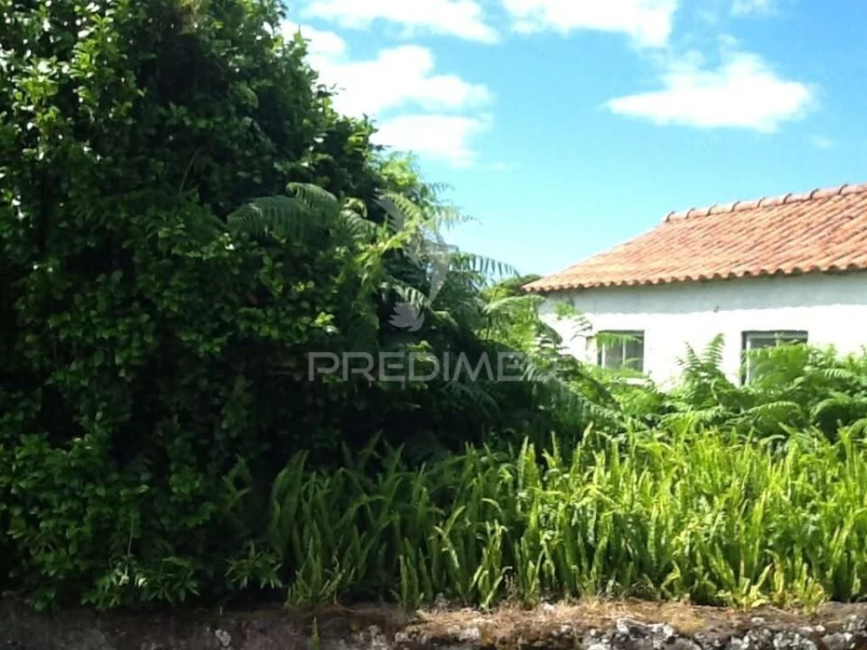 Moradia T2 para Venda em Calheta de Nesquim Foto 3