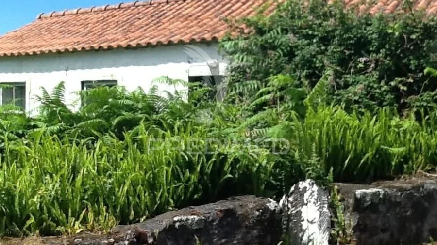 Moradia T2 para Venda em Calheta de Nesquim