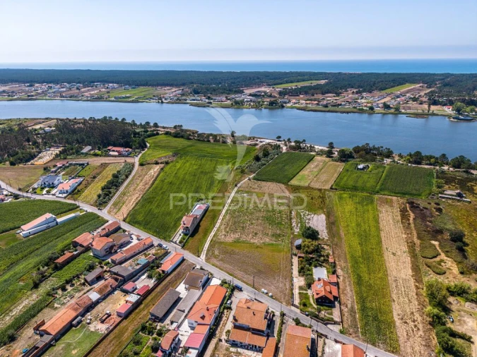 Terreno para Venda em Ovar, São João, Arada e São Vicente de Pereira Jusã Foto 2
