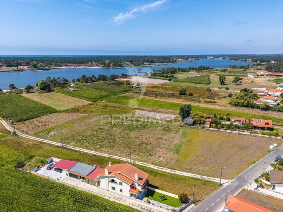 Terreno para Venda em Ovar, São João, Arada e São Vicente de Pereira Jusã Foto 4