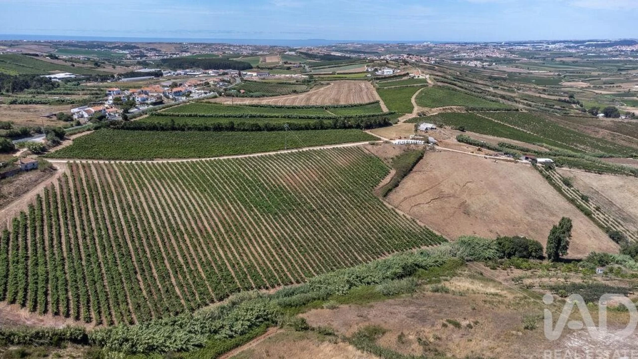 Moradia T3 para Venda em Encarnação Foto 24