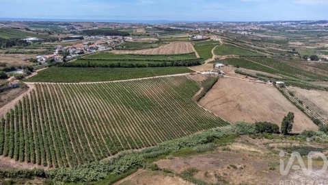Moradia T3 para Venda em Encarnação
