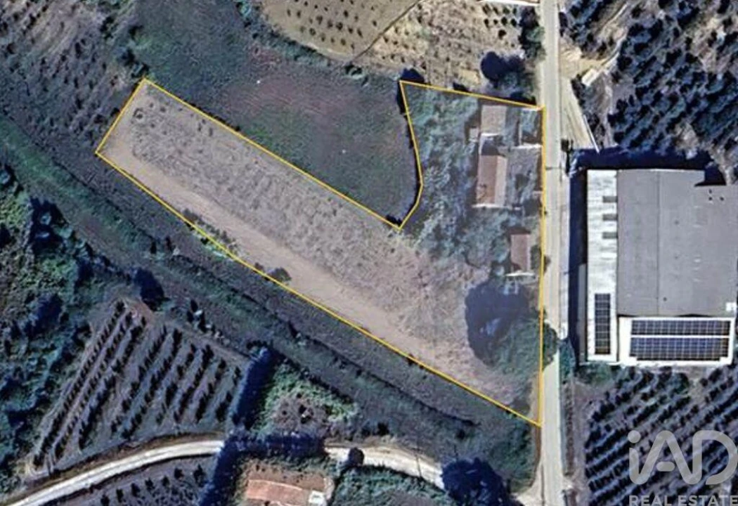 Moradia para Venda em Roliça Foto 12