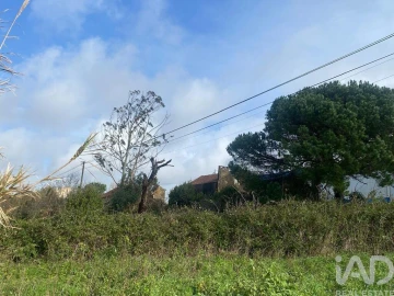 Moradia para Venda em Roliça