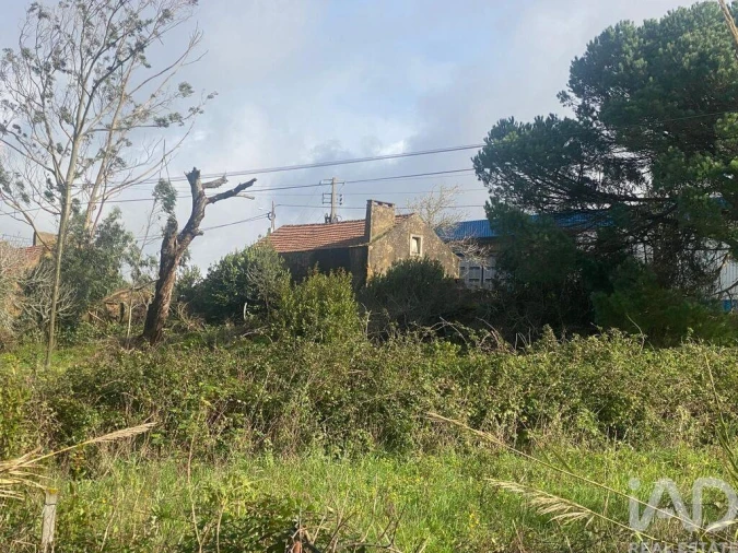 Moradia para Venda em Roliça Foto 10