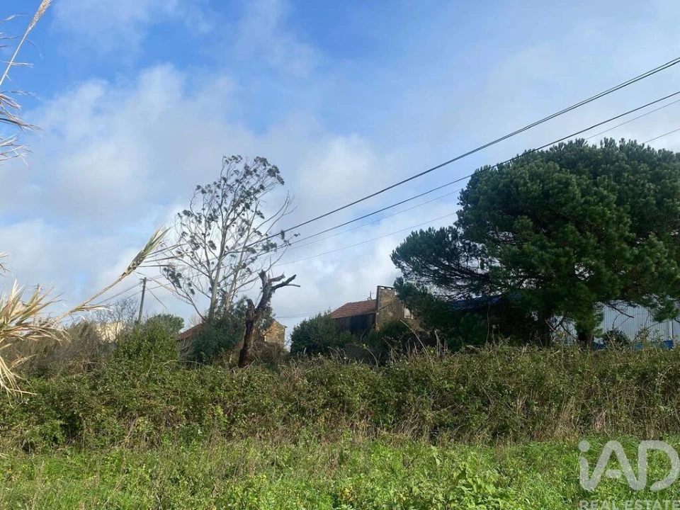 Moradia para Venda em Roliça Foto 9