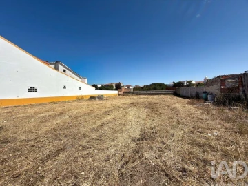 Terreno para Venda em Vieira de Leiria
