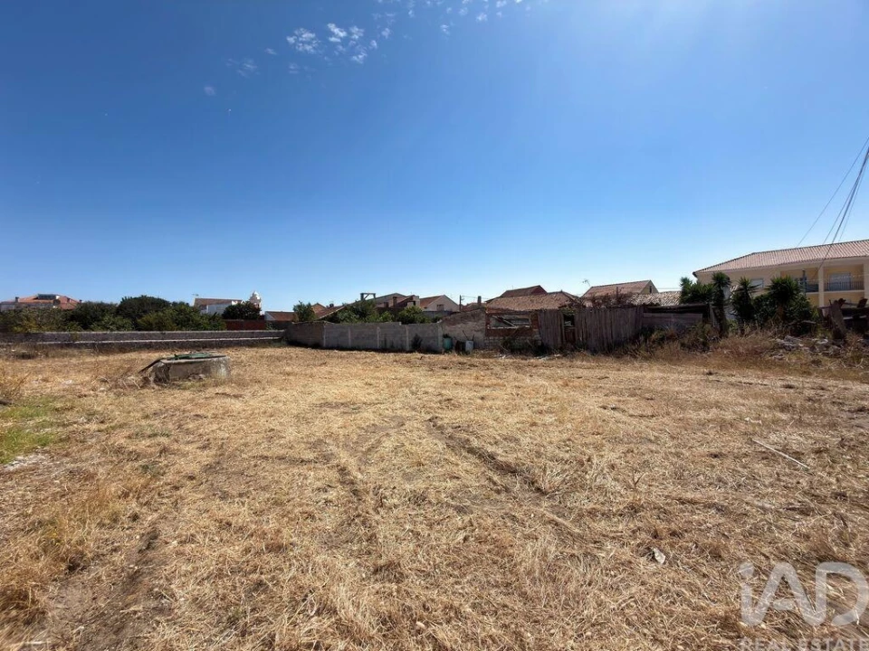 Terreno para Venda em Vieira de Leiria Foto 4