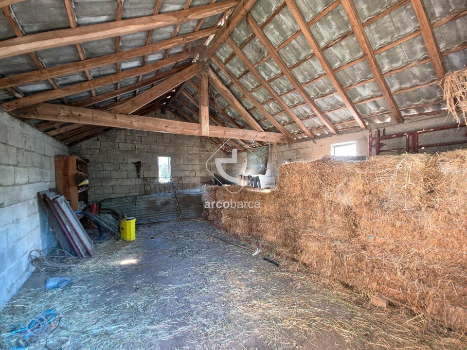 Quinta para Venda em Souto e Tabaçô Foto 10