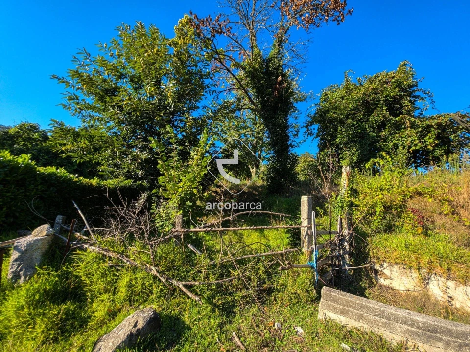 Quinta para Venda em Souto e Tabaçô Foto 13