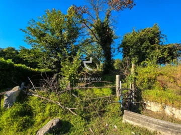 Quinta para Venda em Souto e Tabaçô
