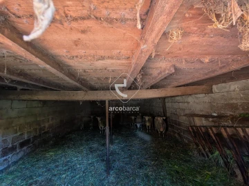 Quinta para Venda em Souto e Tabaçô
