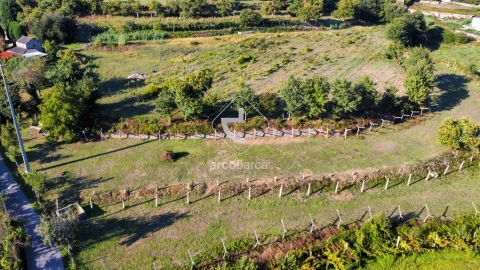 Quinta para Venda em Souto e Tabaçô