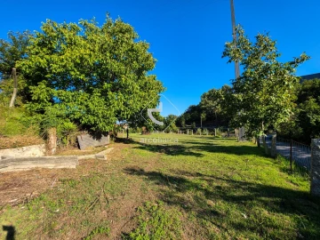 Quinta para Venda em Souto e Tabaçô