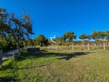 Quinta para Venda em Souto e Tabaçô
