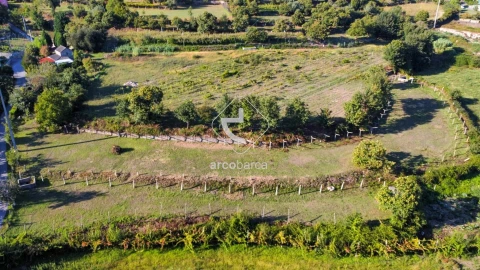 Quinta para Venda em Souto e Tabaçô