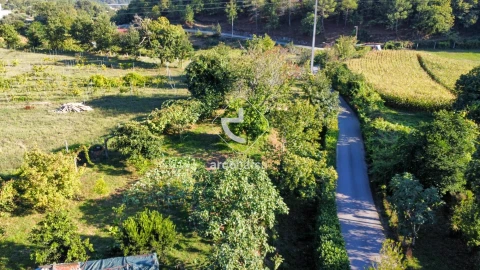 Quinta para Venda em Souto e Tabaçô