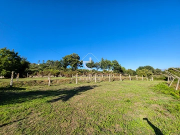 Quinta para Venda em Souto e Tabaçô