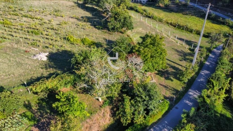 Quinta para Venda em Souto e Tabaçô